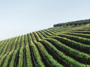 Agriculture