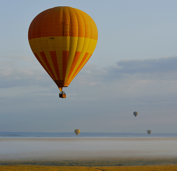 Fuel your Startup’s success through innovation.