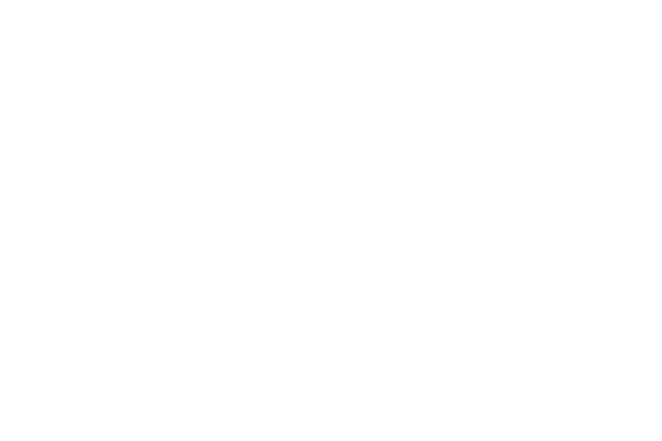 logo light