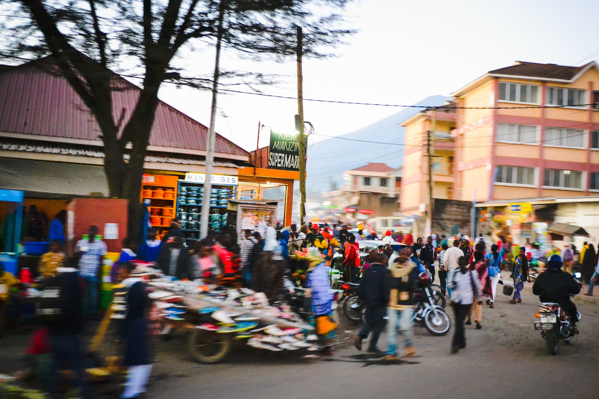 Center for Africa's Development and Investment.