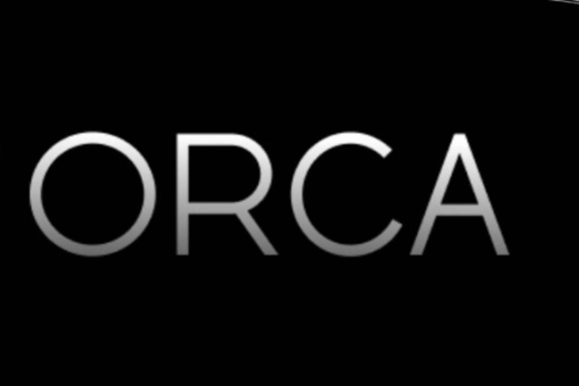 Orca Raises €550K to Fight Fraud