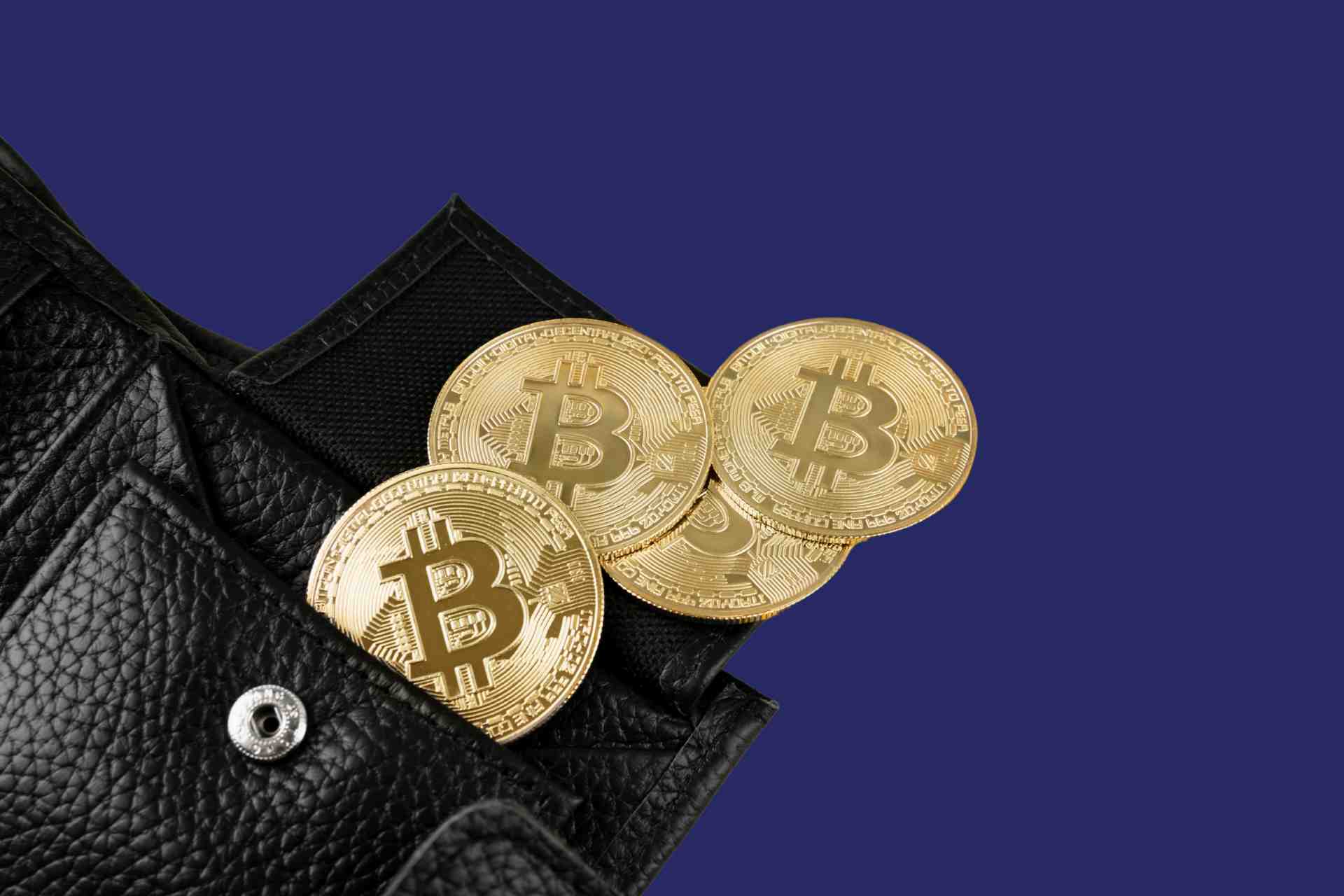 Crypto Processing vs Business Wallets: Which Option Works for Your Business?
