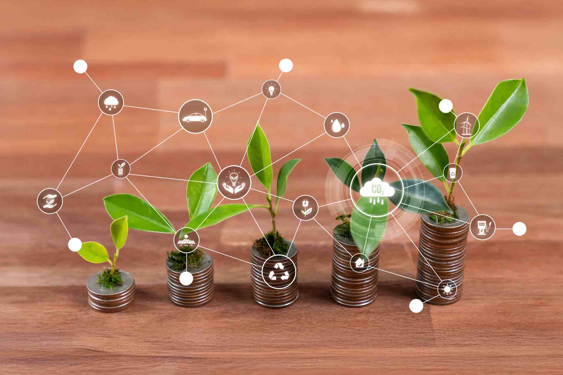 How Private Equity is Shaping Africa’s Economic Transformation