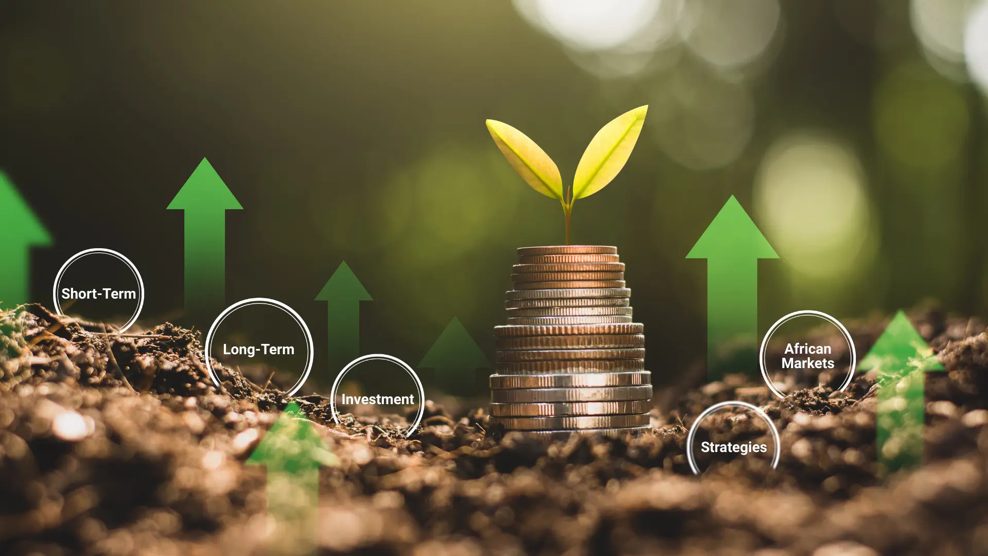 Short-Term vs. Long-Term Investment Strategies for African Markets