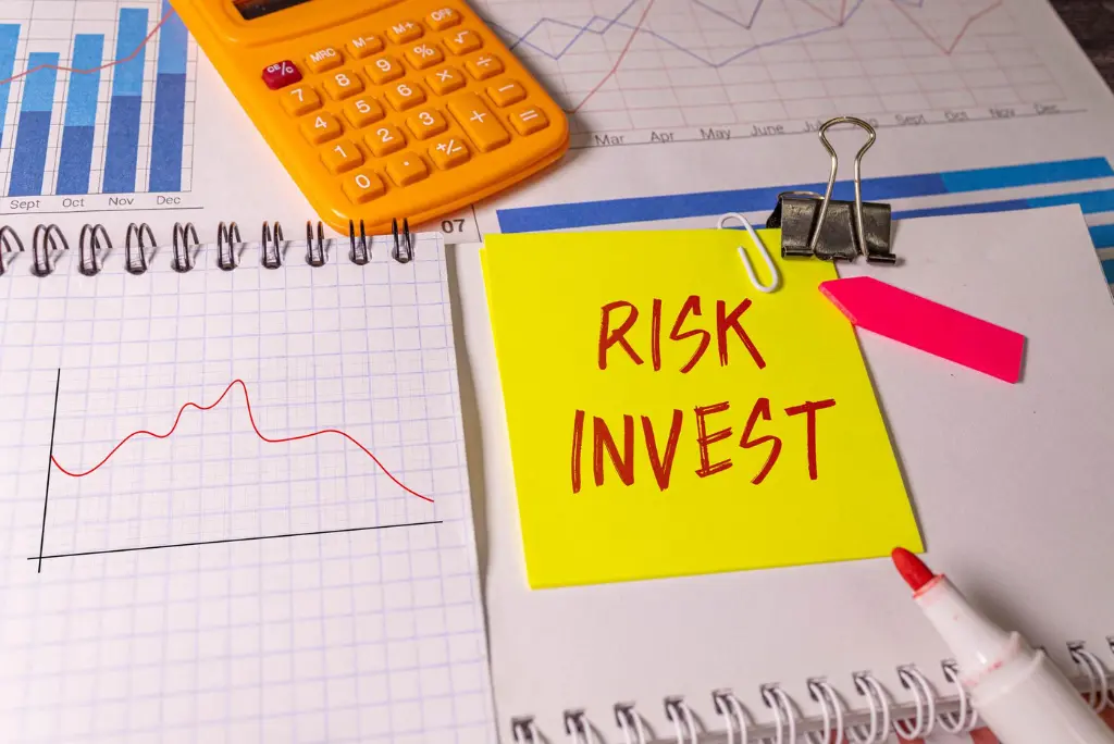 Key Risks Investors