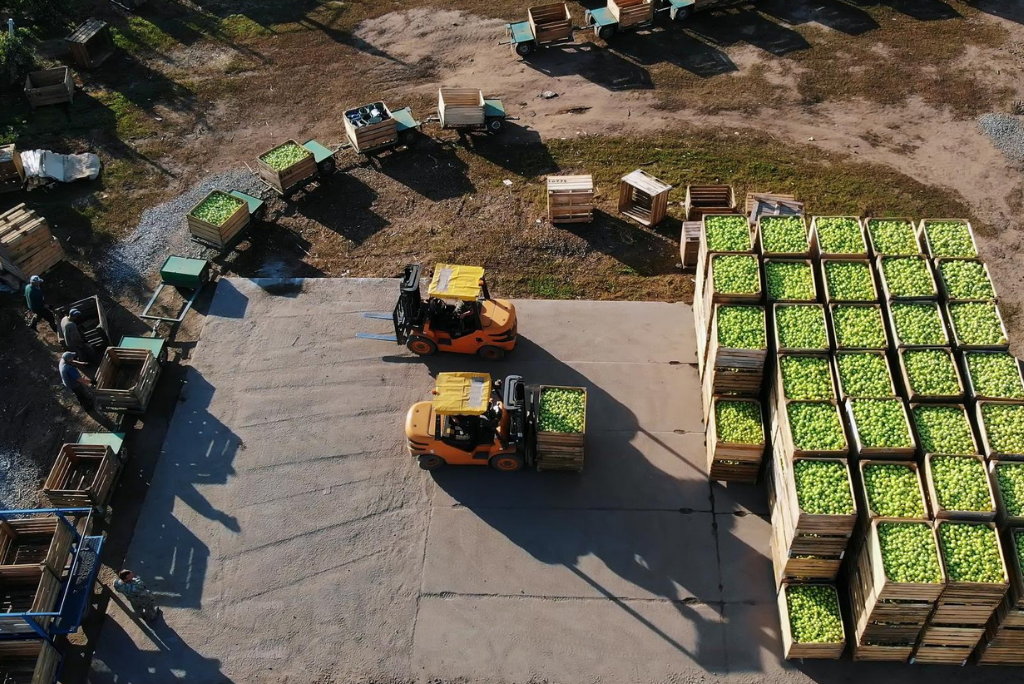 Agricultural Investment in Africa