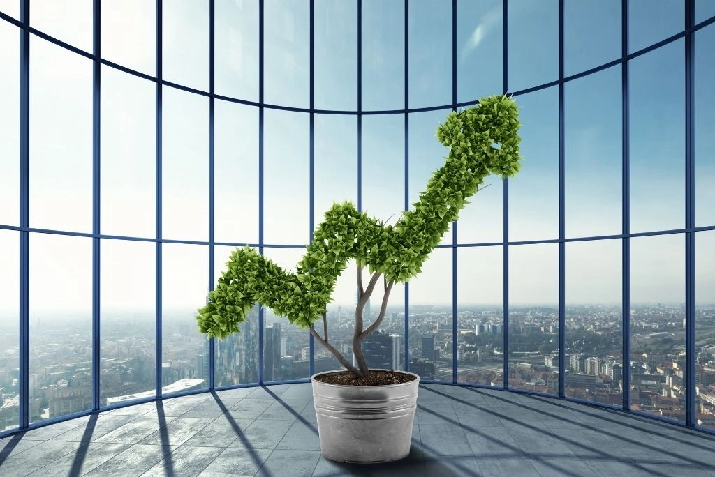 What Makes a Startup Attractive to Global Investors