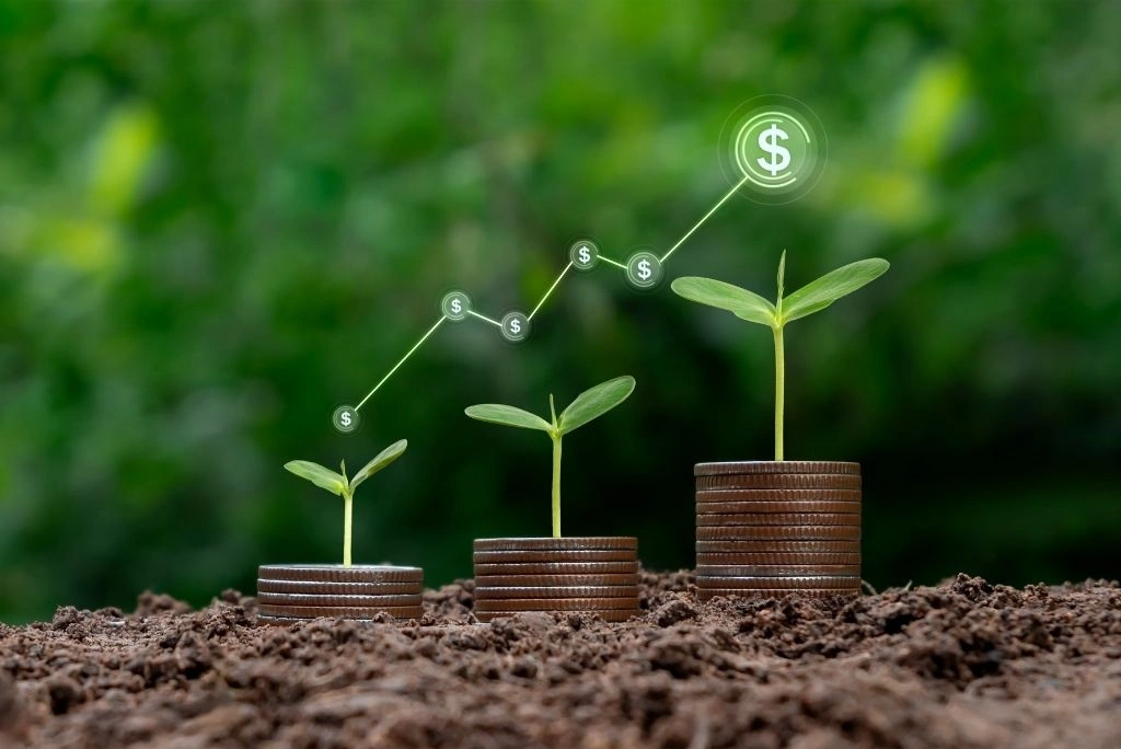 Entrepreneurship, Investment, and Economic Growth in Africa