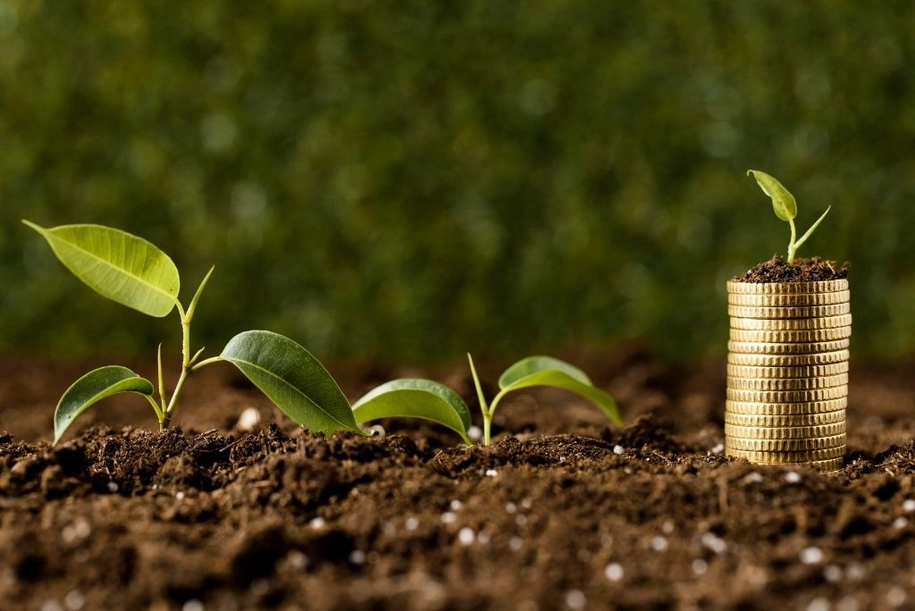 The Rise of Impact Investing in Africa