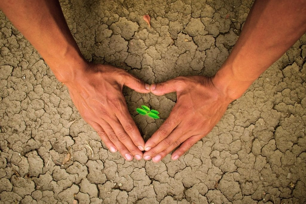 Why Sustainable Investment Is Growing Across Africa