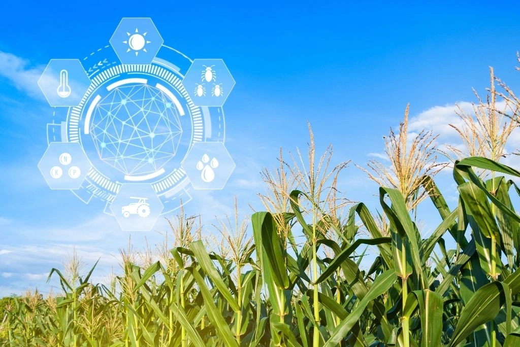 Agriculture and Food Security